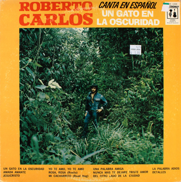 Accords et paroles Un Gato En La Obscuridad Roberto Carlos