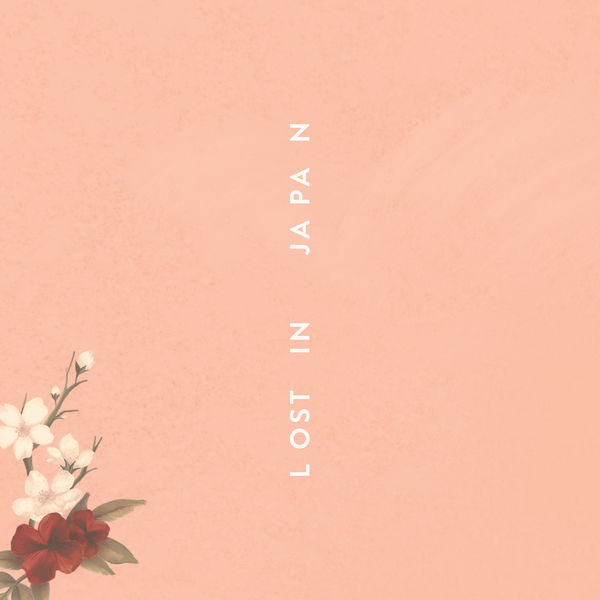 Accords et paroles Lost Shawn Mendes