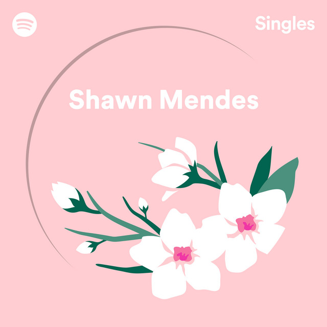 Accords et paroles Use Somebody Shawn Mendes