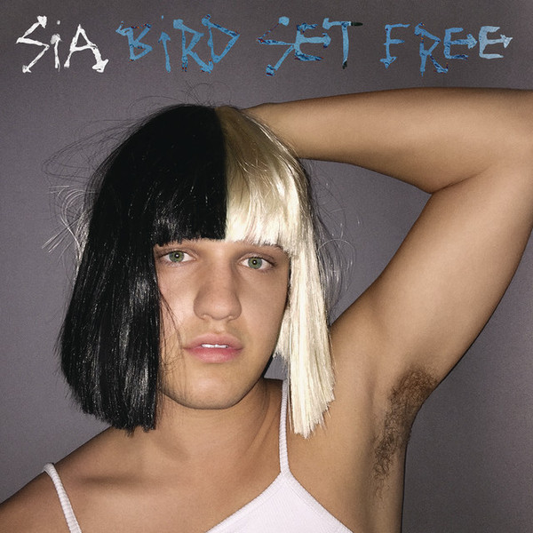 Accords et paroles Bird Set Free Sia