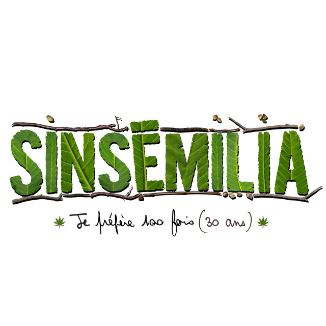 Accords et paroles Je préfère 100 fois Sinsemilia