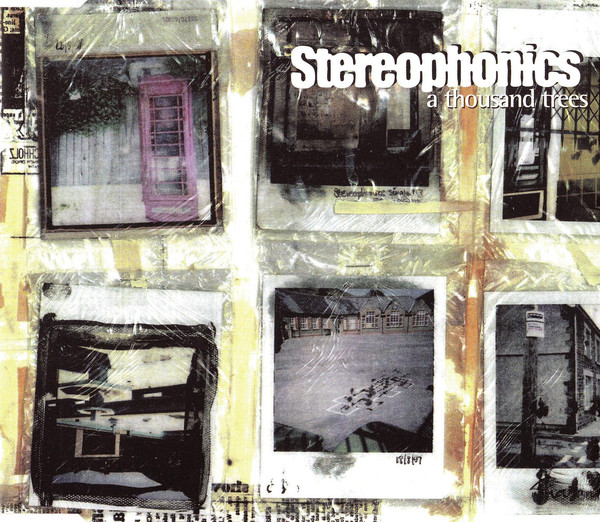 Accords et paroles Thousand Trees Stereophonics