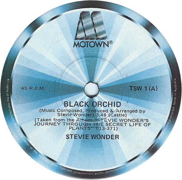 Accords et paroles Blame It On The Sun Stevie Wonder