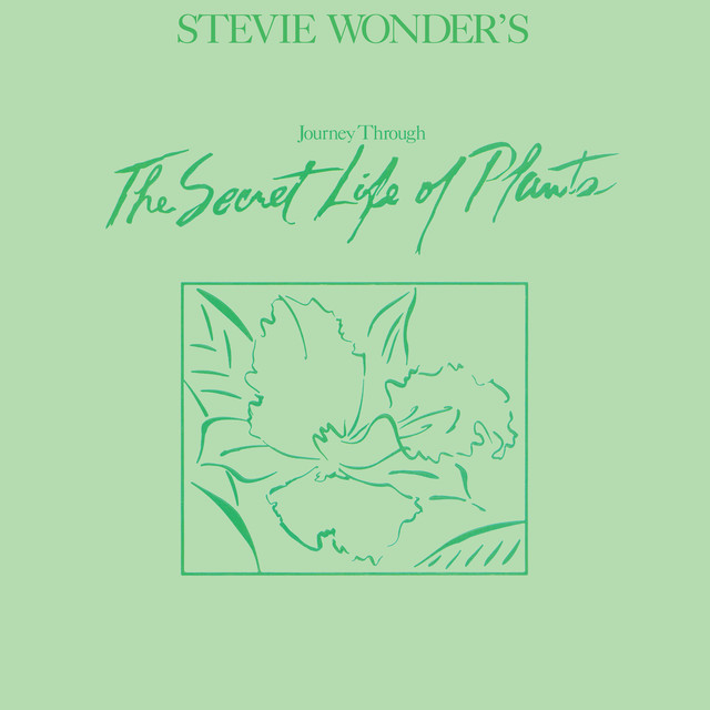 Accords et paroles Kesse Ye Lolo De Ye Stevie Wonder