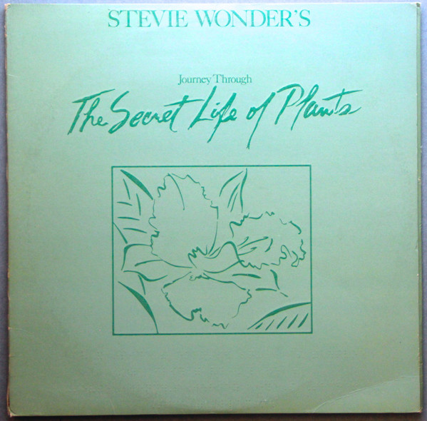Accords et paroles The secret life of plants Stevie Wonder