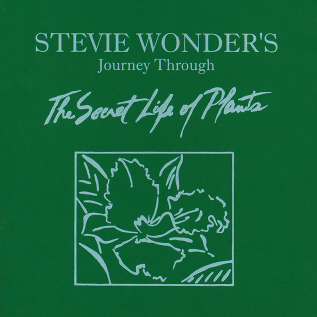 Accords et paroles Send one your love Stevie Wonder
