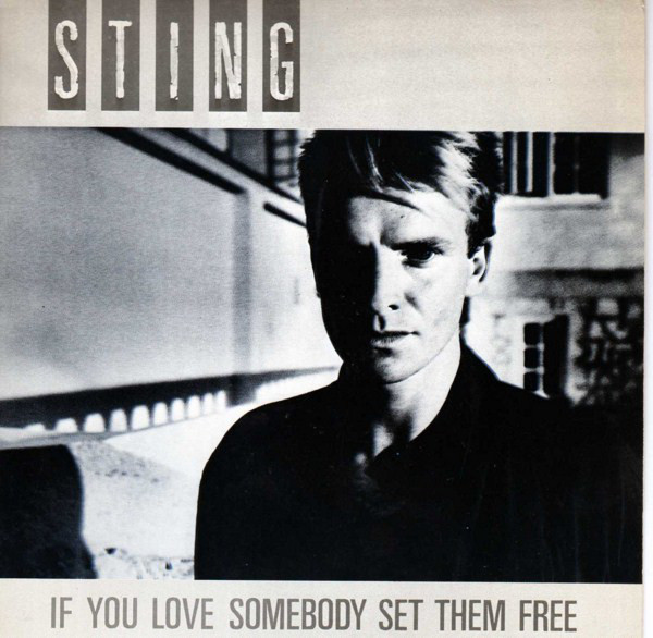Accords et paroles If You Love Somebody Set Them Free Sting