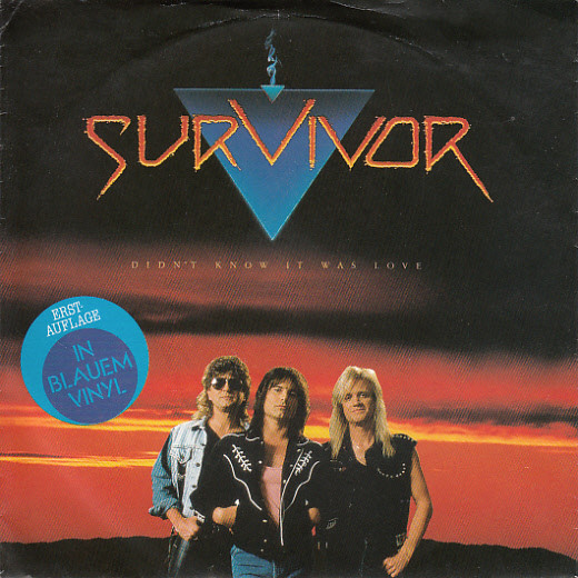 Accords et paroles Didn't Know It Was Love Survivor