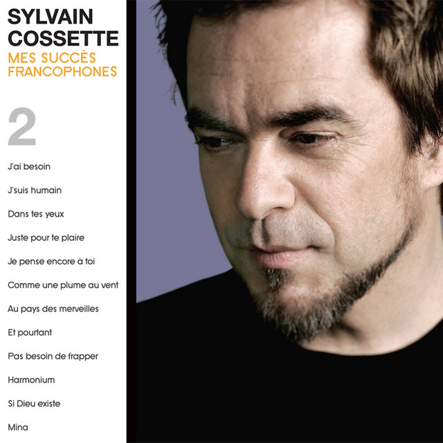 Accords et paroles J'ai besoin Sylvain Cossette