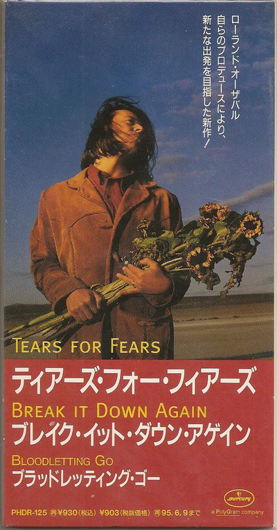 Accords et paroles Break It Down Again Tears For Fears