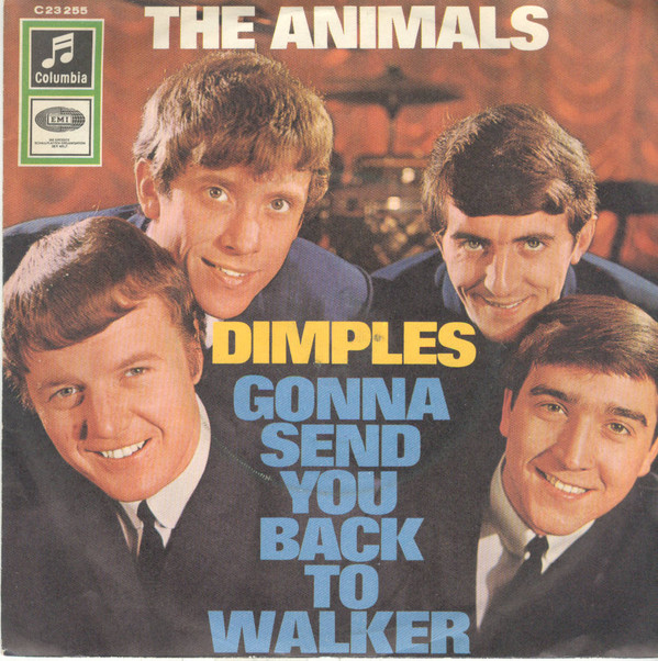 Accords et paroles Dimples The Animals