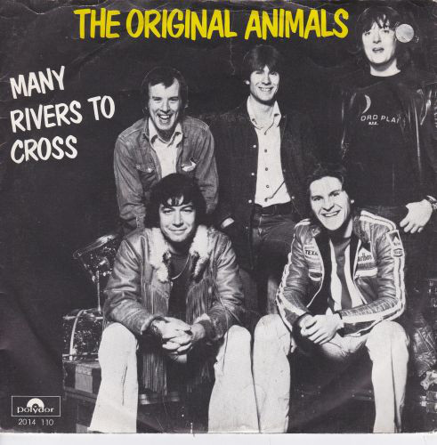 Accords et paroles Many Rivers To Cross The Animals