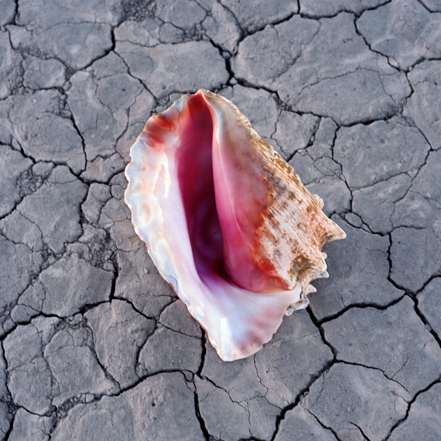 Accords et paroles Have All The Songs Been Written The Killers
