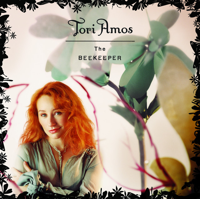Accords et paroles Toast Tori Amos