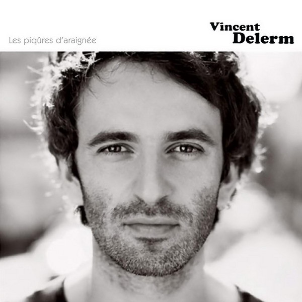 Accords et paroles Les piqûres d'araignée Vincent Delerm